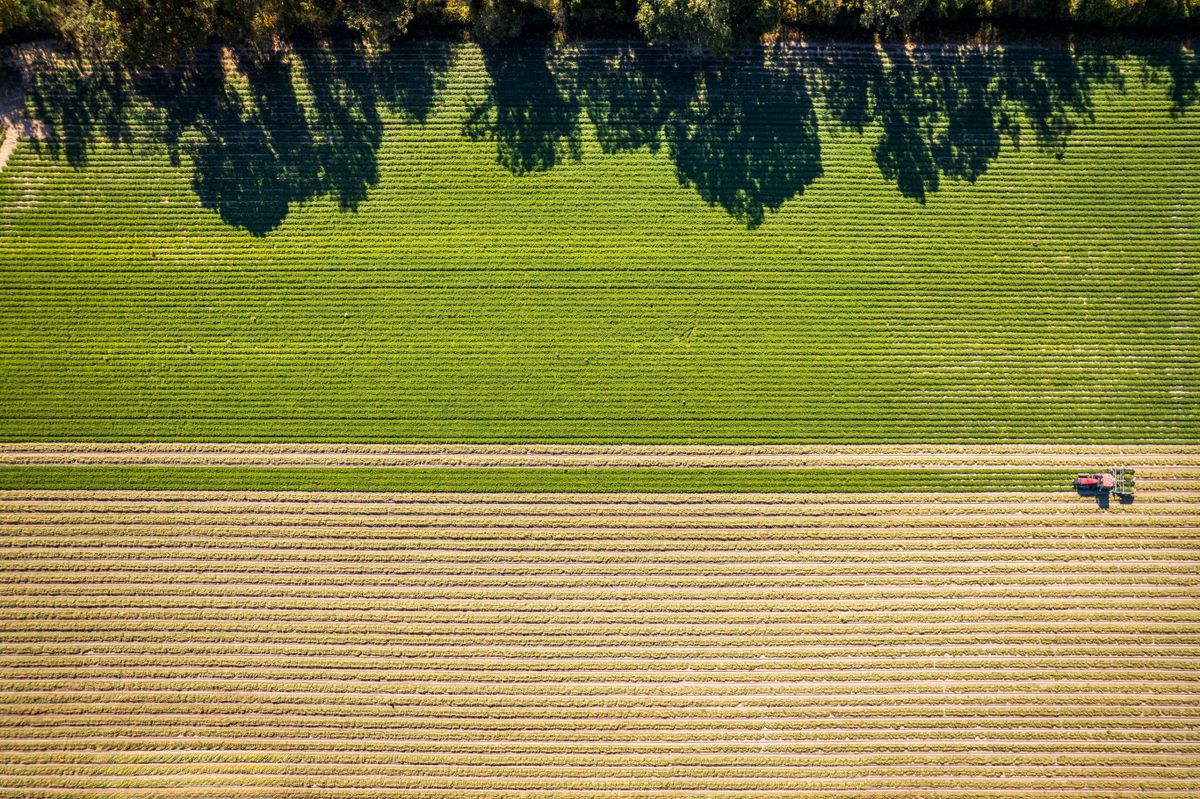 Agri Fusion Exports investe em capacitação de equipe e melhoria de processos